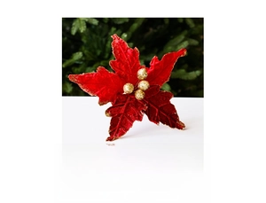 Vue détaillée d'un poinsettia en velours rouge avec bordures dorées scintillantes
