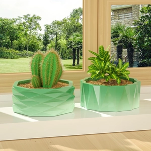 Moderne muntgroene geometrische plantenpotten voor vetplanten in een 3D-scène