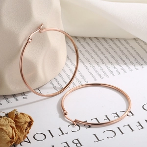 Minimalist rose gold stainless steel hoop earrings on a decorative artistic background