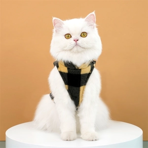 Close-up of a white cat wearing a yellow and black plaid fleece pet vest on a podium