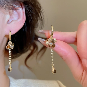 Details von eleganten goldenen Hängeohrringen mit Tigeraugen-Perlen und Quasten