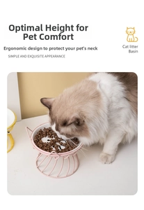 Ragdoll cat eating from an elevated ceramic bowl with an angled pink wire metal stand