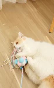 Close-up of cat wand toy with colorful plush balls, bell and tassels in a home setting