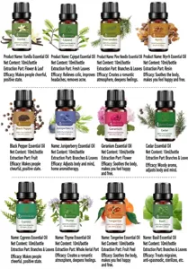Collection détaillée de douze huiles essentielles de 10 ml avec extraits de plantes naturels