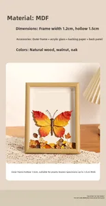 Macro shot of 1.5cm hollow wood shadow box frame with glass for leaf specimens
