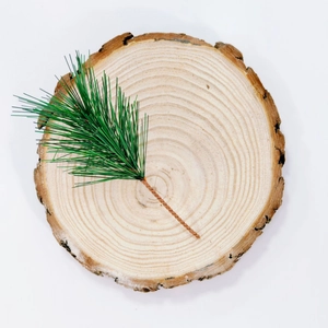 Artificial pine needles on natural wood slice base with authentic bark edges and grain