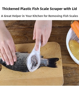 Close-up of plastic fish scaler tool with cover removing scales from a fish in a kitchen
