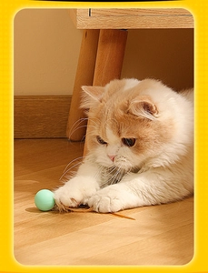 Close-up of a cat playing with a mint green silicone ball toy featuring brown feathers