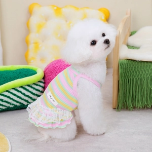 Close-up of pink and yellow striped pet vest with elegant white floral lace trim details