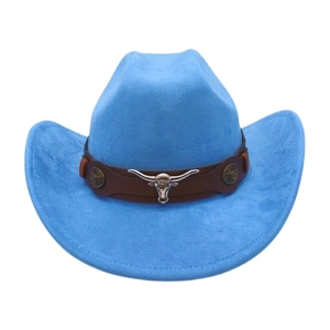 Detail of sky blue suede cowboy hat with brown leather band and silver bull head emblem