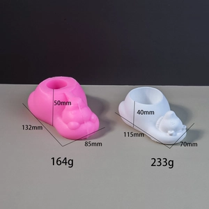 Detail view of pink silicone dog shoe mold with white plaster storage box outcome