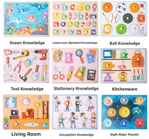 Detailed grid showing nine educational wooden peg puzzles with diverse learning themes