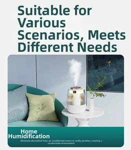 Detail of desktop humidifier showing large mist output and real-time LED humidity display