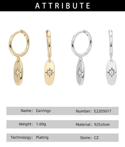 Detail of star-shaped pendant earrings in gold and silver plating with CZ inlay