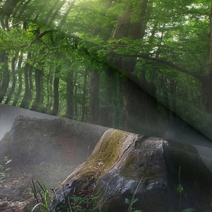 Psychedelic Aurora Forest Wall Tapestry with Realistic Nature Scenery and Soft Lighting