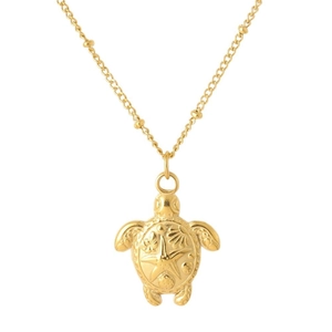 Gold-plated turtle pendant necklace with sea star relief and dainty chain on white background