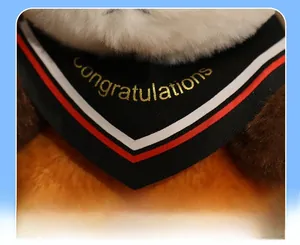 Dettaglio del ricamo dorato Congratulations sulla sciarpa di un peluche di laurea