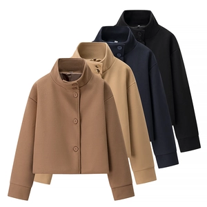 Veste Pour Femmes Texture Laine Col Montant Simple Boutonnage Manteau Court Streetwear Coupe Ample Automne Hiver Décontracté