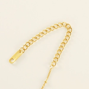Macro view of gold stainless steel anklet extension chain with S.STEEL engraving