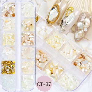 Macro detail of 12-grid iridescent natural shell fragments for luxury nail art design