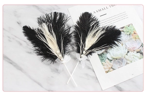 Detail of elegant black and white ostrich feathers cake toppers with pearls and white bows