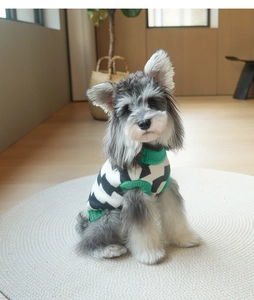 Close-up of diamond pattern dog sweater with green ribbed collar and soft knit fabric
