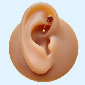 Close-up of a curved golden barbell with a red heart zircon on a silicone ear model