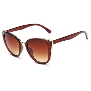 Women's cat-eye sunglasses with translucent brown frames and gold metal accents