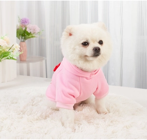 Close-up of pink dog hoodie on Pomeranian in a cozy home setting with white rug