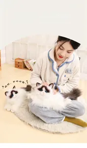 Close-up of fluffy ragdoll cat plushies showing blue eyes and soft faux fur texture