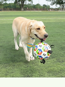 Action shot of a dog fetching a durable soccer toy with nylon tabs on a green grass field