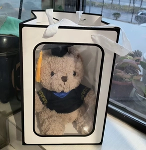 Brown graduation teddy bear in black academic robe inside a white paper gift bag with window