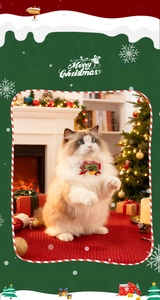 Details zur Weihnachtsfliege für Haustiere mit Karomuster und Glöckchen für Katzen