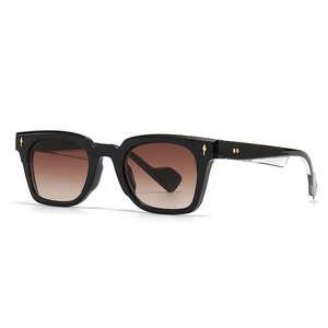Retro cat-eye sunglasses with rectangular black frames and gold leopard-style temple detail