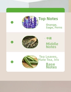 Detail of fragrance notes including tangerine, sage, tea, iris, amber, and tonka bean