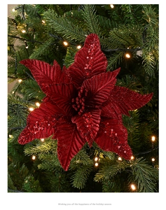 Gros plan d'une fleur de Noël rouge scintillant sur un sapin avec lumières chaudes