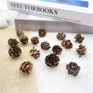 Natural dried brown pine cones displayed on white fleece and burlap for festive decor