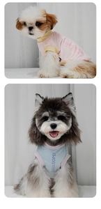 Detail of breathable color-block pet summer t-shirts featuring outdoor exploring slogans
