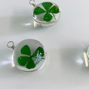 Macro view of clear round pendant with a real green four-leaf clover and silver ring