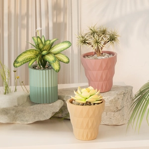 Three colorful geometric succulent pots on rocks featuring striped and diamond resin textures