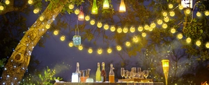 Outdoor solar string lights hanging on tree branches with warm yellow bubble globes