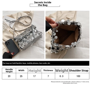 Size guide for silver sequin handbag showing dimensions 25x17x7 cm and carrying capacity