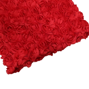 Close-up of 3D red fabric roses detailing the textured floral design of the mini skirt