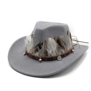 Detail of gray wool felt cowboy hat with feather trim and ethnic woven band with coins