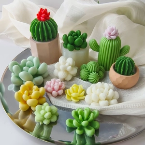 DIY cactus and succulent candle molds set displayed on a round tray for home decor