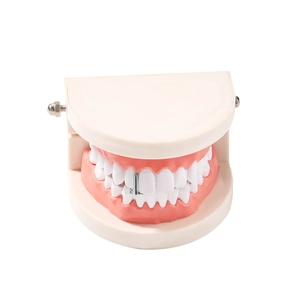 Hiphop zilveren diamant enkele tand grillz op tandheelkundig model voor decoratie