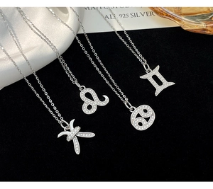 Detailed view of S925 sterling silver zodiac necklaces with cubic zirconia pavé pendants