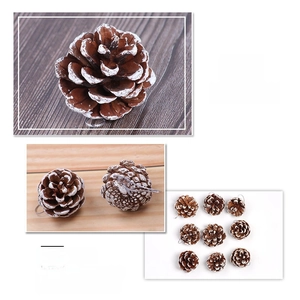 Detailed close-up of natural pine cones with white snow-tipped edges for Christmas decor