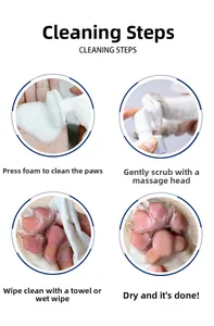 Detail showing the four-step cleaning process using the silicone massage brush head foam