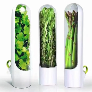 Fresh Herb Saver Vegetable Storage Container Transparent Herb Keeper For Cilantro Asparagus Parsley Plastic Kitchen Gadget